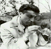 pavese.gif (24482 byte)