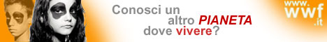 468PER60arancio.jpg (9564 byte)