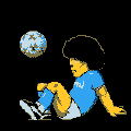 marapa.gif (4613 byte)